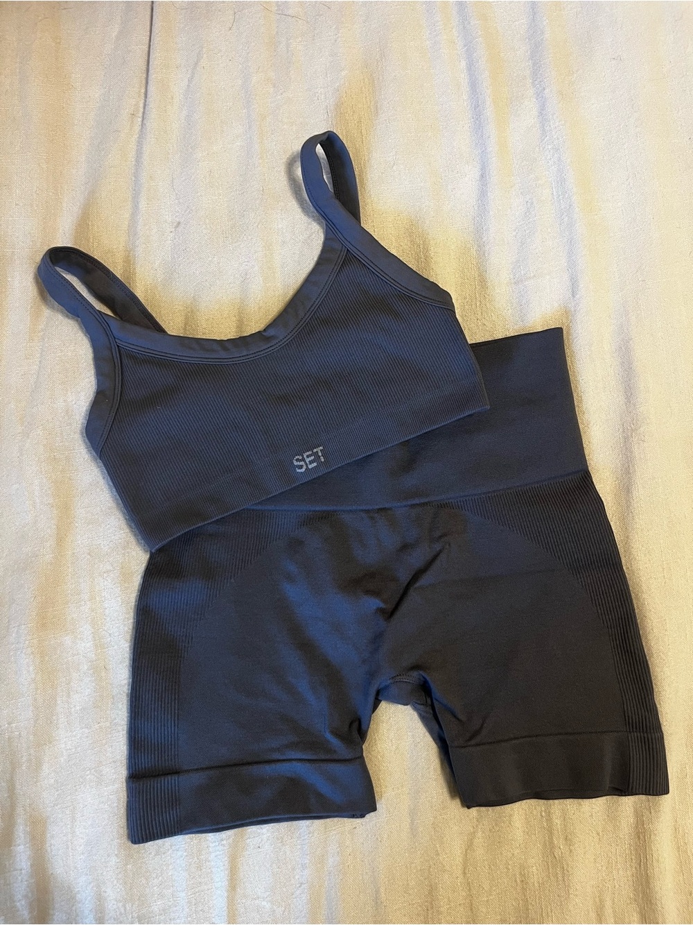 SET ACTIVE Seamless Ribbed Sports Bra and Shorts Set